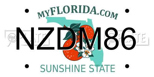 NZDM86 Florida License Plate