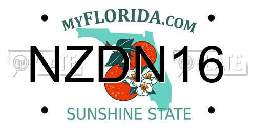 NZDN16 Florida License Plate
