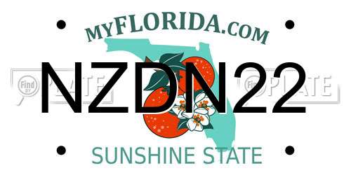 NZDN22 Florida License Plate