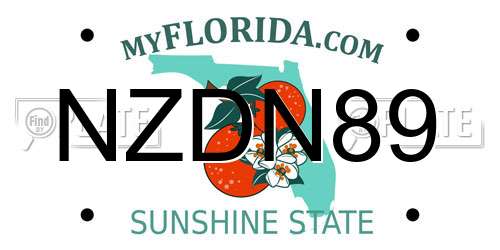 NZDN89 Florida License Plate
