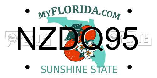 NZDQ95 Florida License Plate