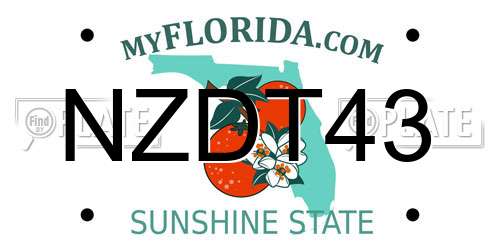 NZDT43 Florida License Plate