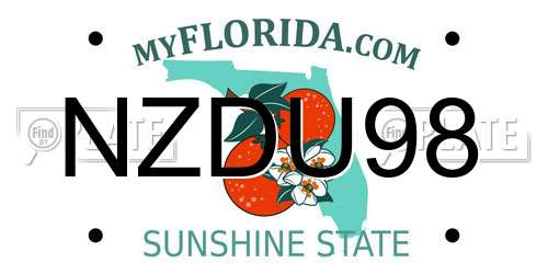 NZDU98 Florida License Plate