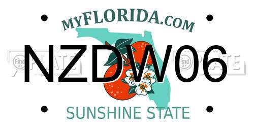 NZDW06 Florida License Plate