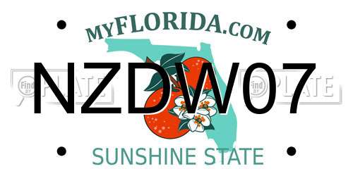 NZDW07 Florida License Plate