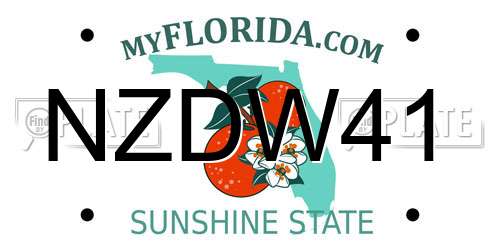NZDW41 Florida License Plate