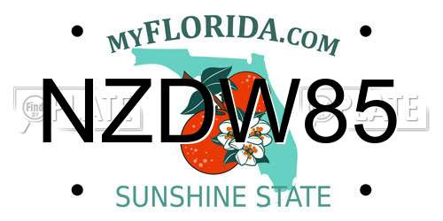 NZDW85 Florida License Plate