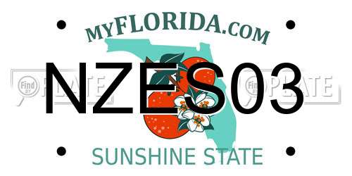 NZES03 Florida License Plate