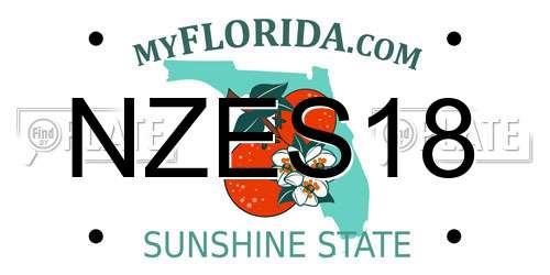 NZES18 Florida License Plate