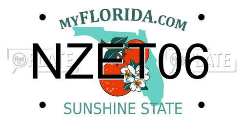 NZET06 Florida License Plate