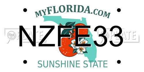 NZFE33 Florida License Plate