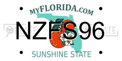 NZFS96 Florida License Plate