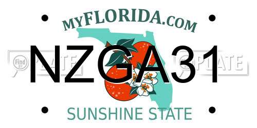 NZGA31 Florida License Plate