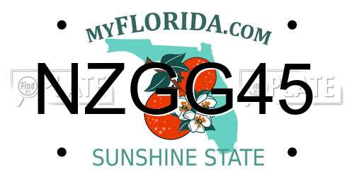 NZGG45 Florida License Plate