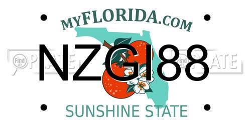NZGI88 Florida License Plate