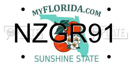 NZGR91 Florida License Plate