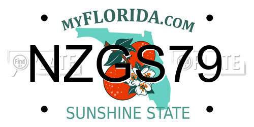 NZGS79 Florida License Plate