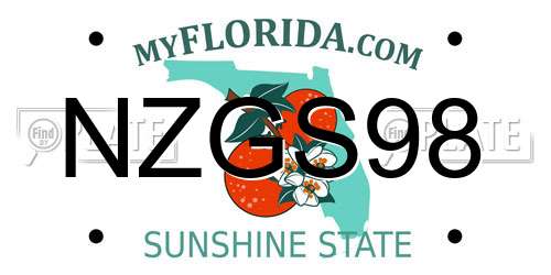 NZGS98 Florida License Plate