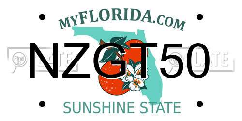NZGT50 Florida License Plate