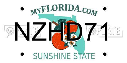NZHD71 Florida License Plate