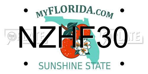 NZHF30 Florida License Plate