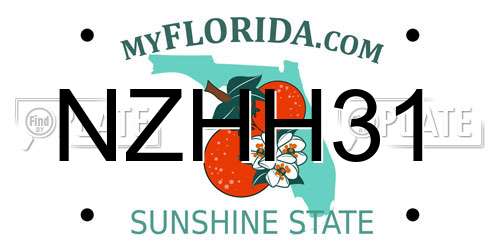 NZHH31 Florida License Plate