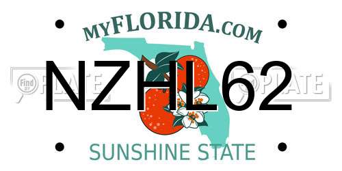 NZHL62 Florida License Plate