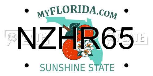 NZHR65 Florida License Plate