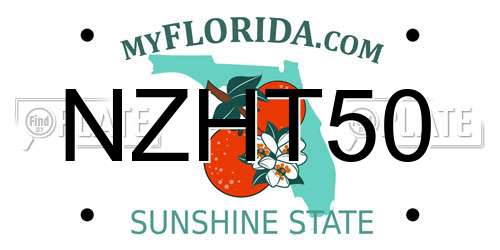 NZHT50 Florida License Plate