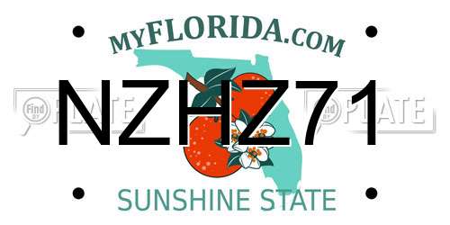 NZHZ71 Florida License Plate