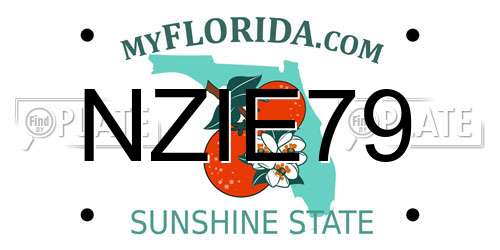 NZIE79 Florida License Plate