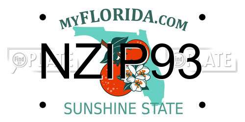 NZIP93 Florida License Plate