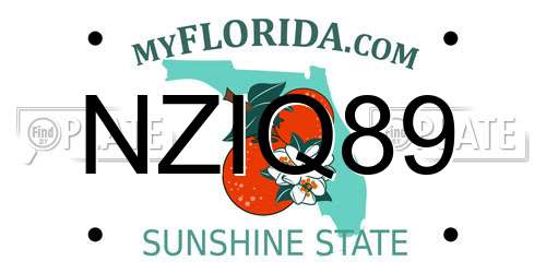 NZIQ89 Florida License Plate