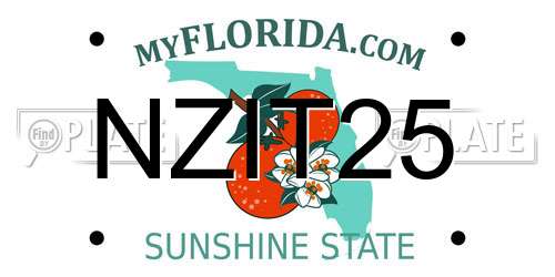 NZIT25 Florida License Plate
