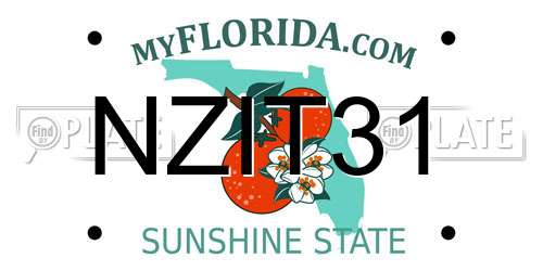 NZIT31 Florida License Plate