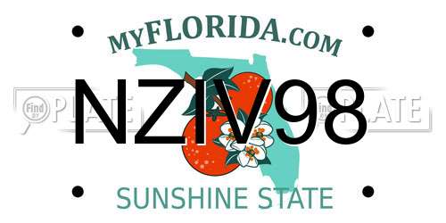 NZIV98 Florida License Plate
