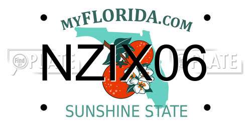 NZIX06 Florida License Plate