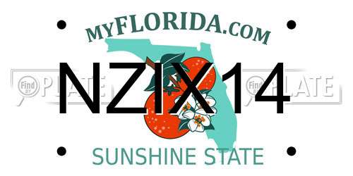 NZIX14 Florida License Plate