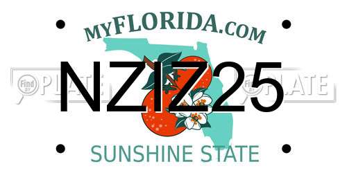 NZIZ25 Florida License Plate