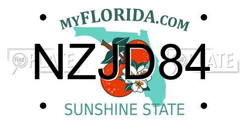 NZJD84 Florida License Plate