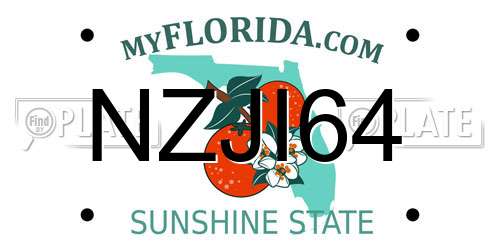 NZJI64 Florida License Plate