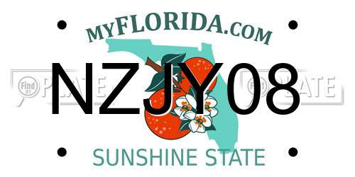 NZJY08 Florida License Plate
