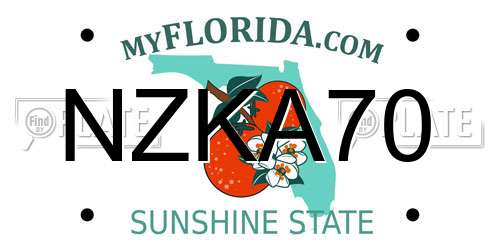 NZKA70 Florida License Plate
