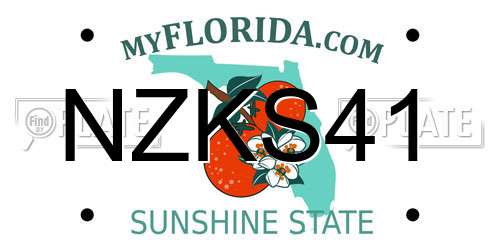 NZKS41 Florida License Plate