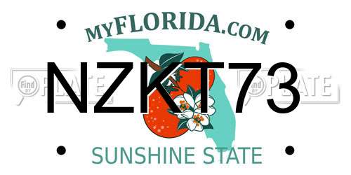 NZKT73 Florida License Plate