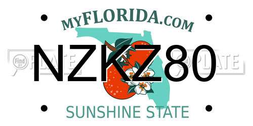 NZKZ80 Florida License Plate