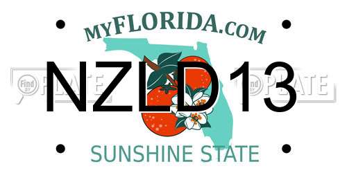 NZLD13 Florida License Plate