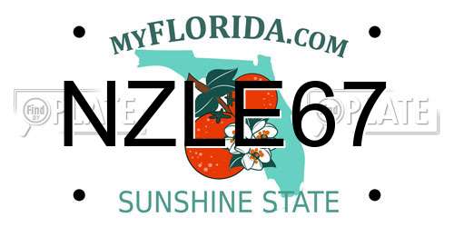 NZLE67 Florida License Plate