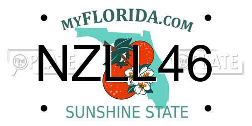 NZLL46 Florida License Plate