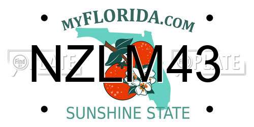 NZLM43 Florida License Plate